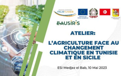 EAUSIRIS organise un atelier autour de l’agriculture face au changement climatique en Tunisie et en Sicile