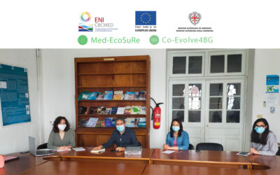 Med-EcoSuRe and Co-Evolve4BG implement planned synergies