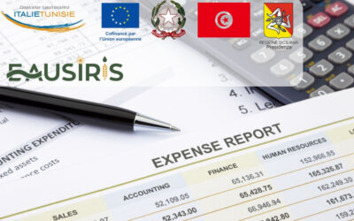 [EauSIRIS] Public notice for the selection of an external auditor for Tunisian partners