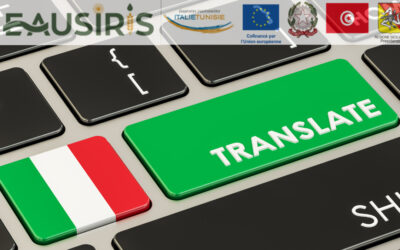 [EauSIRIS] Consultation for the selection of a simultaneous interpretation service for the EauSIRIS project [Eau04/2022]