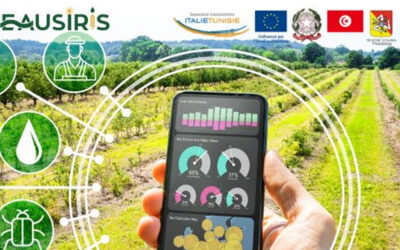 Consultation Acquisition et installation des systèmes d’agriculture intelligente à Béja