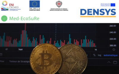 Med-EcoSuRe participates in an Erasmus Mundus joint master’s program