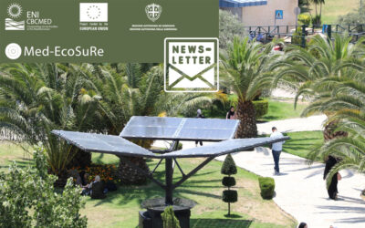 Med-EcoSuRe’s fifth newsletter highlights the proposed renovation process for a green transition in the built environment