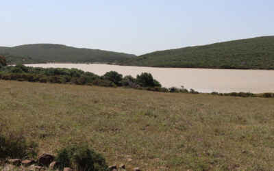 [EAUSIRIS] Call for Tenders with Simplified Procedure No. 10/2022 Water and soil conservation works and development of a track in the Governorate of Bizerte