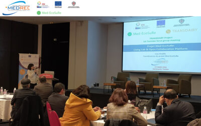 Med-EcoSuRe et TRANSDAIRY mettent en place des approches stimulant l’innovation et la co-création en Méditerranée