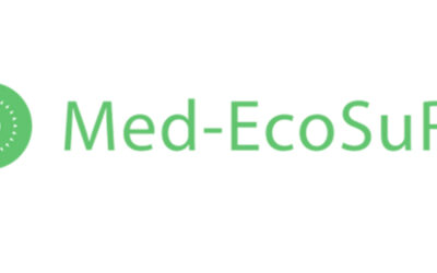 Med-EcoSuRe
