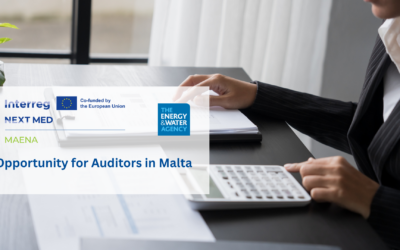 MAENA launches a call for an auditor to ensure financial compliance in Malta