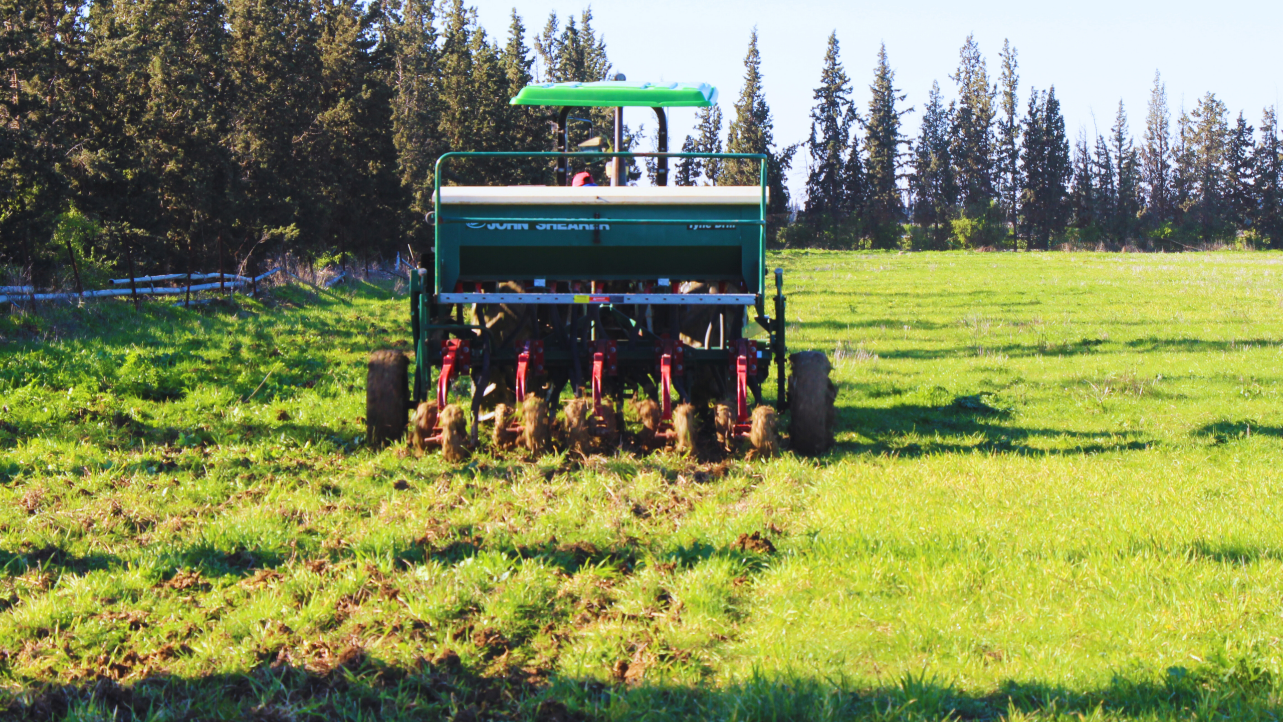 MAENA-affiches-news-1-3-scaled