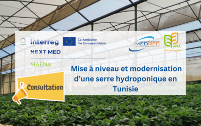 [MAENA]: consultation –  Mise à niveau et modernisation d’une serre hydroponique en Tunisie