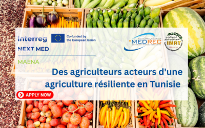 [MAENA] Soutenir les agriculteurs pour renforcer la résilience agricole en Tunisie