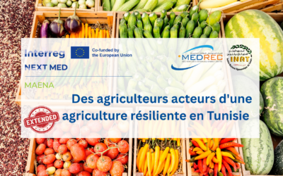 [MAENA]: Prolongation des délais – Soutenir les agriculteurs pour renforcer la résilience agricole en Tunisie